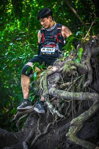 BIB: 4667
                            <button type="button" onclick="openModal(7087856)" class="btn btn-primary btn-sm float-right btn-popup" data-toggle="modal" data-target=".modal-high-quality">
                        <i class="fas fa-shopping-cart"></i> Add to Cart
                    </button>
                                            <button type="button" onclick="isThisMe(7087856, true)" class="btn btn-success btn-sm float-right btn-popup btn-isme hidden" data-toggle="tooltip" data-placement="bottom" title="นี่คือรูปของคุณใช่ไหม คลิกที่นี่เพื่อเอาเข้าอัลบั้ม">
                        <i class="fas fa-plus"></i> Add to album
                    </button>
                    <button type="button" onclick="isThisMe(7087856, false)" class="btn btn-warning btn-sm float-right btn-popup btn-isnotme hidden">
                        <i class="fas fa-ban"></i> Remove from album
                    </button>